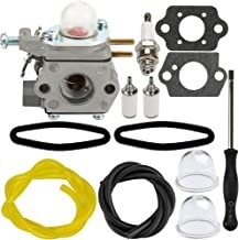 Panari 753-06190 Carburetor with Air Filter Fuel Line for Troy-Bilt TB22 TB22EC TB32EC Murray M2500 M2510 Bolens BL110 BL160 String Trimmer Brushcutter