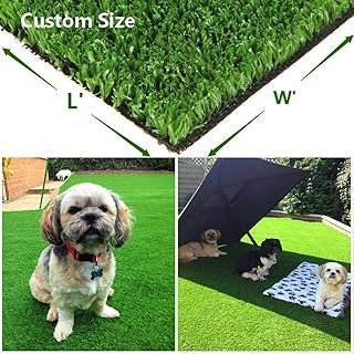 Best artificial grass 15 Reviews