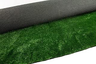 SHANGHAI EASUN TURF CO., LTD 6' x 12' Economy Indoor or Outdoor Artificial Grass Rug | Lead & Toxic Free | Fake Lawn for Dogs, Kids Play Areas, Patio, Porches, Doormat, So Much More